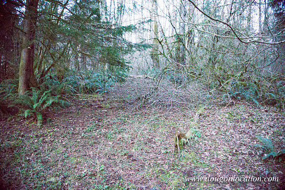 Adams Farm-3116