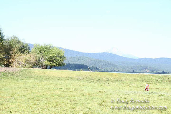 2500 Acres of green fields Creeks water crossing Bridges on a Large Lake and miles of Dirt roads Oak trees Forest land ATV Trails cows