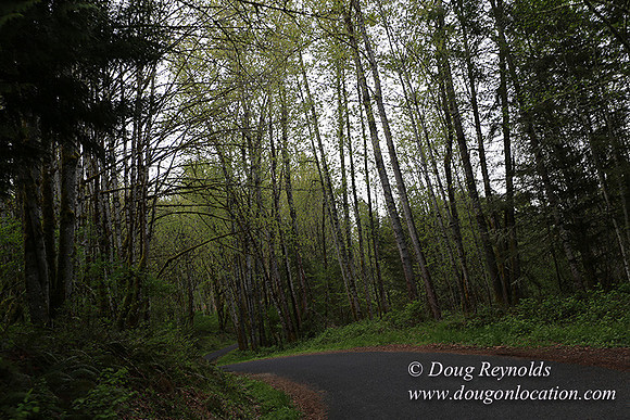 Brians Rd to the Gate-0297