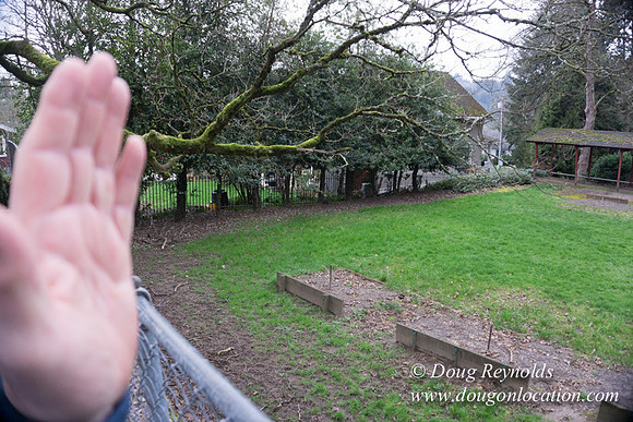 Sellwood Park-2363