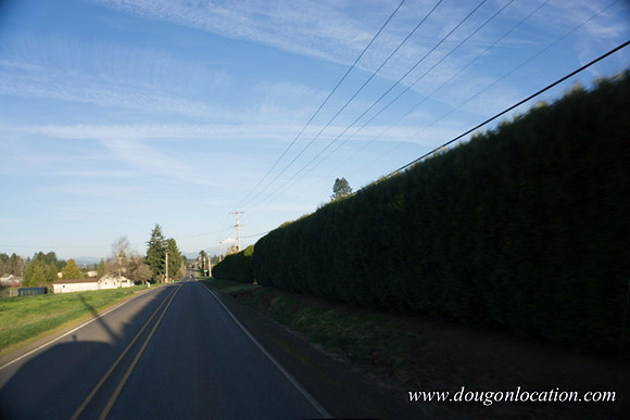 Kelso Rd W Driving E-4020