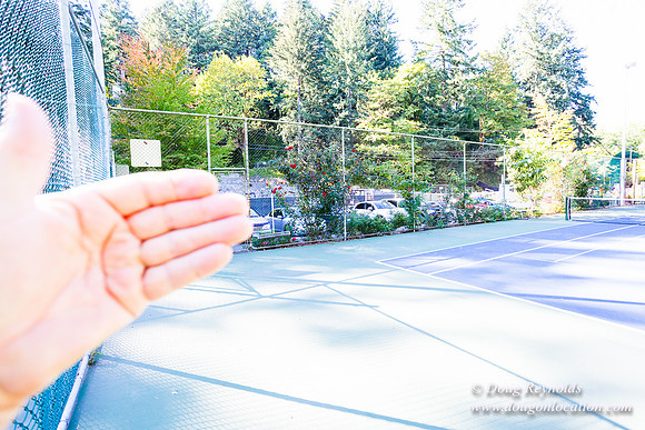 Washington Park Tennis Courts