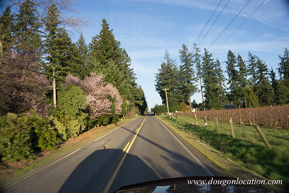Kelso Rd W Driving E-4094