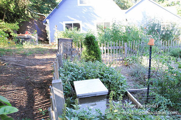 Traditional Style Home small farm with large kitchen great room, 2 story, 2 car garage on Acreage with large back yard, large front yard, garden, pond, deck, goats, bees, shop, PDX Zone