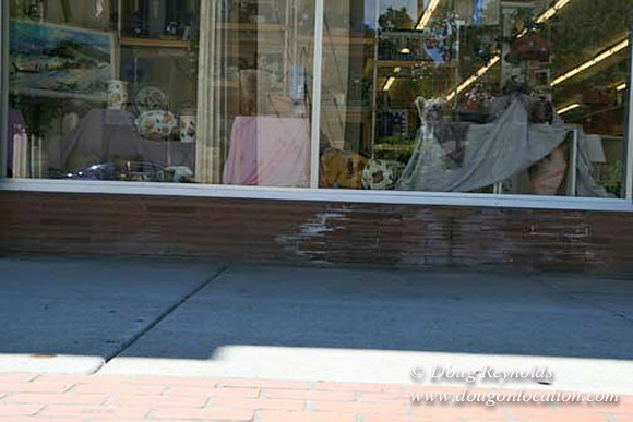 Forest Grove-5473