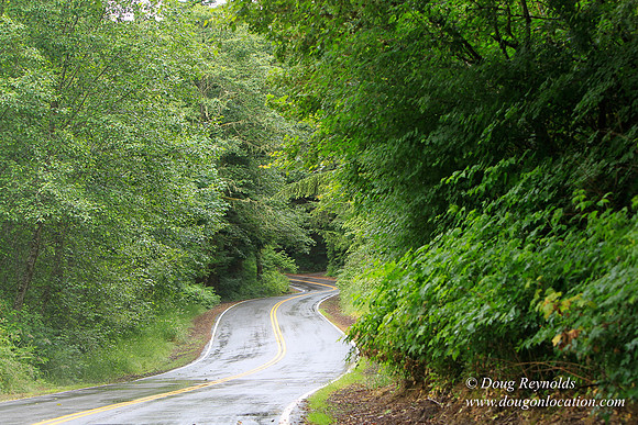 Brower Rd