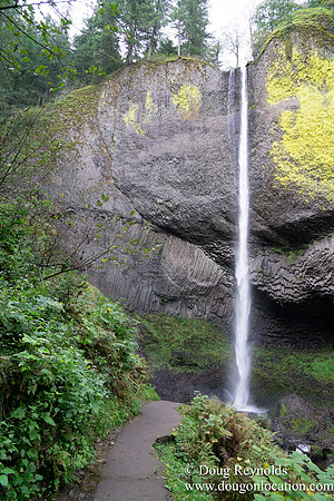 SNog Productions Sony 2016 Oregon