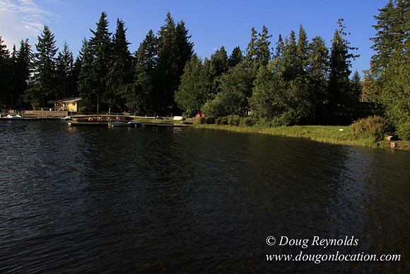 Boat, Cabin, Dock, Home, "House lake", WA, Washington, Yard, deck, "green. Beach" Vacation