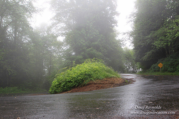 Brower Rd