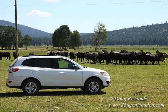2500 Acres of green fields Creeks water crossing Bridges on a Large Lake and miles of Dirt roads Oak trees Forest land ATV Trails cows