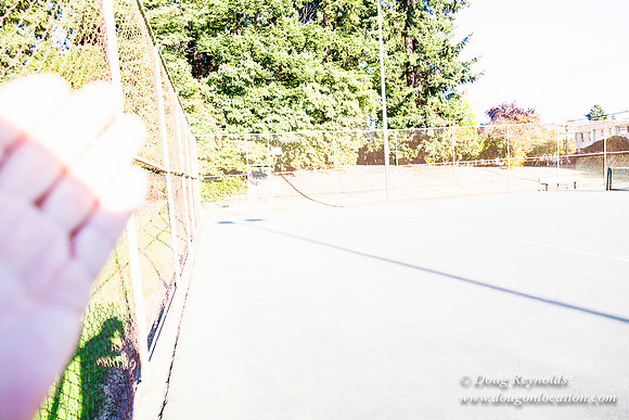 Kenilworth Courts