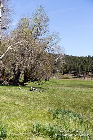 Ranch 18