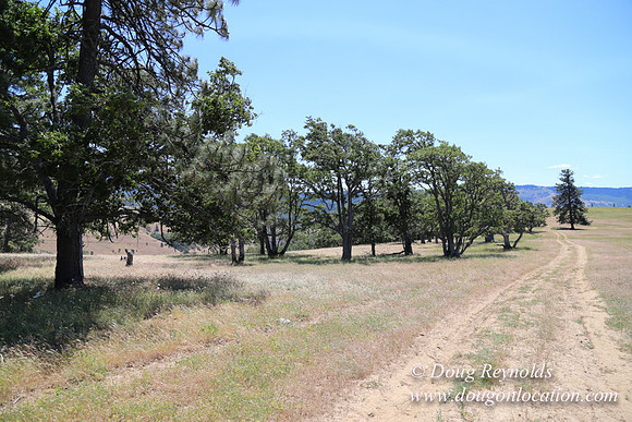 Brothers Ranch-8492