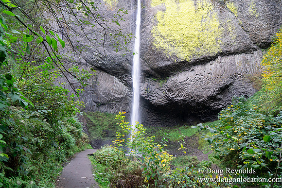 SNog Productions Sony 2016 Oregon