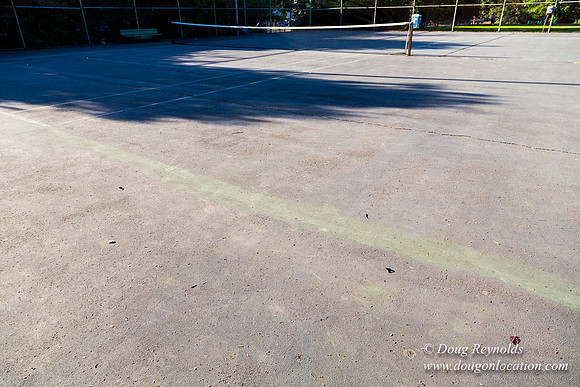 Kenilworth Courts