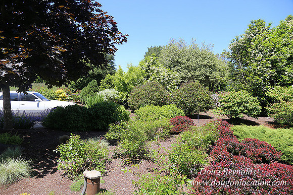 Scotts House-5316