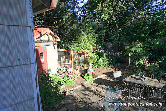 Home" Bungalow, Bee's Back yard Chickens, Small,