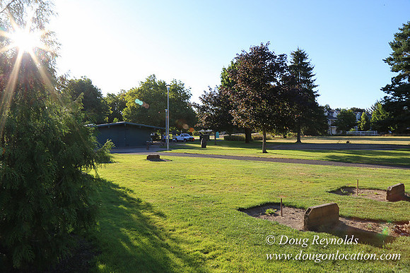 Lincoln Park-0659
