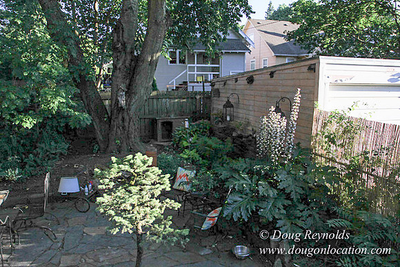 Home" Bungalow, Bee's Back yard Chickens, Small,