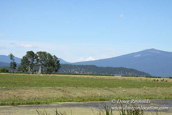 2500 Acres of green fields Creeks water crossing Bridges on a Large Lake and miles of Dirt roads Oak trees Forest land ATV Trails cows