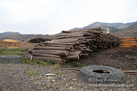 SDS Lumber-1427
