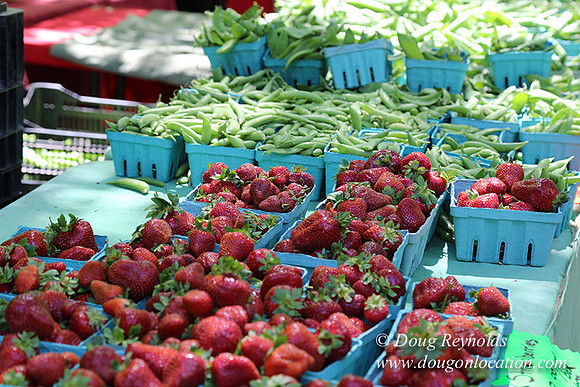 Portland PSU Farmers Mkt-5805