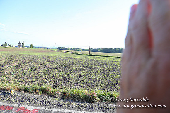 Toms Rd Side-6348