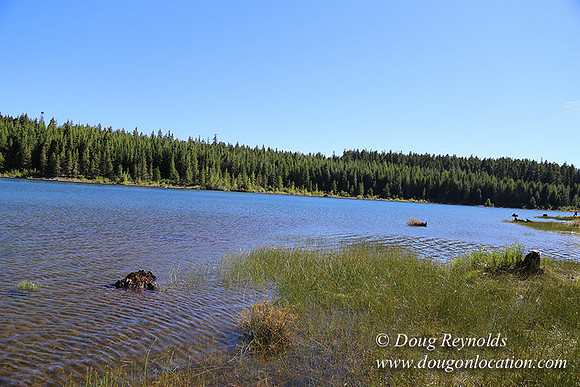 Clear Lake-3516