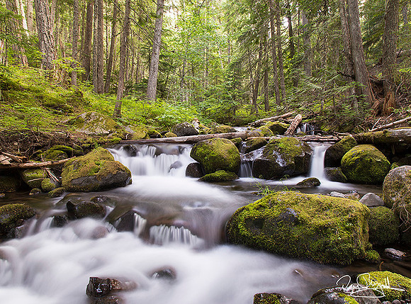 Laurance Creek