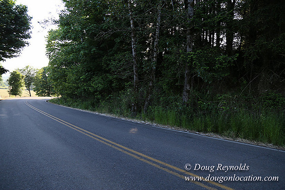 Moores Rd 2-7085