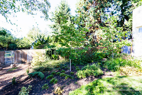 Jenx Back Yard