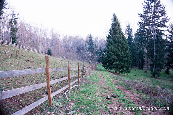 Adams Farm-3100