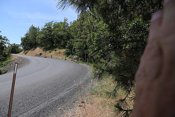 Canyon Rd 2-8003