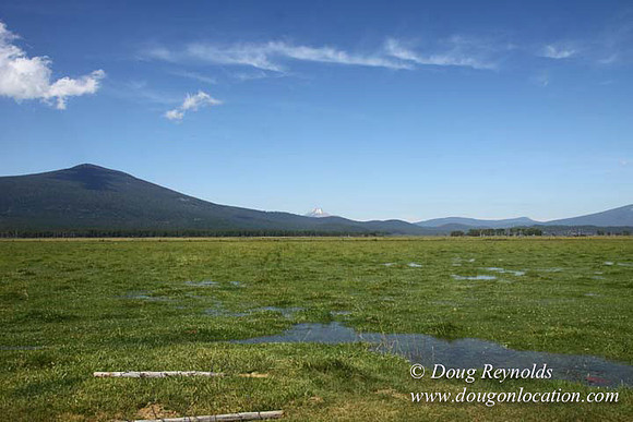2500 Acres of green fields Creeks water crossing Bridges on a Large Lake and miles of Dirt roads Oak trees Forest land ATV Trails cows