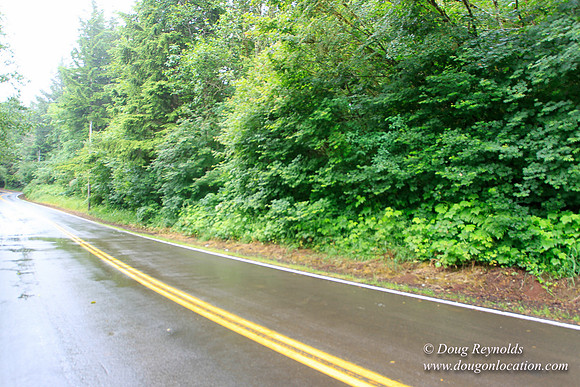 Brower Rd