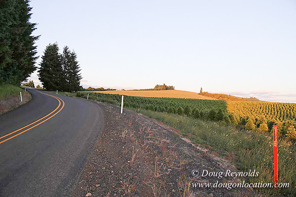 Hwy 214 M18-7669
