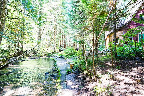 Karri's Cabin