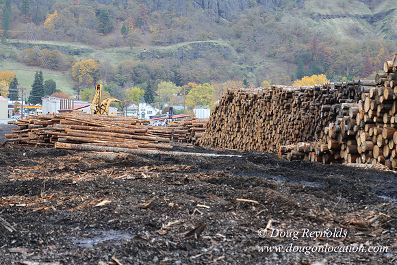 SDS Lumber-1435