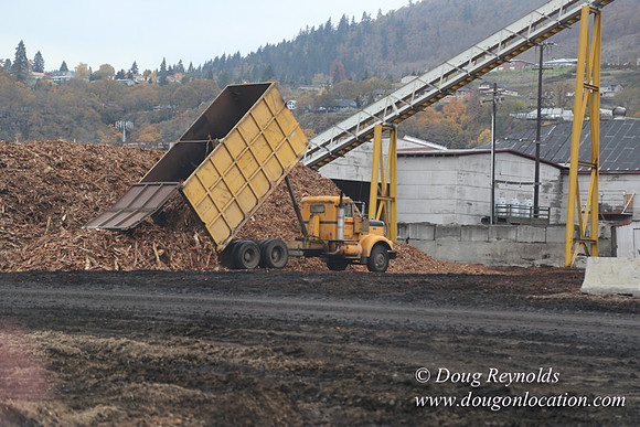 SDS Lumber-1445