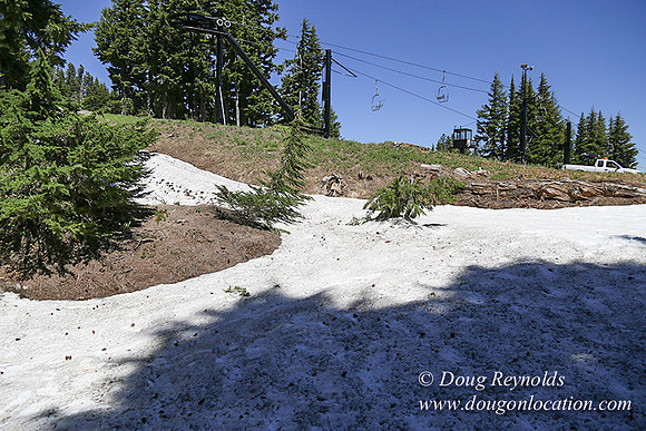 Medow's Snow-5653