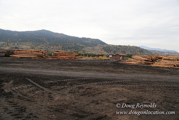SDS Lumber-1411