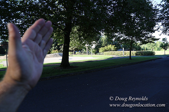 Lincoln Park-0668