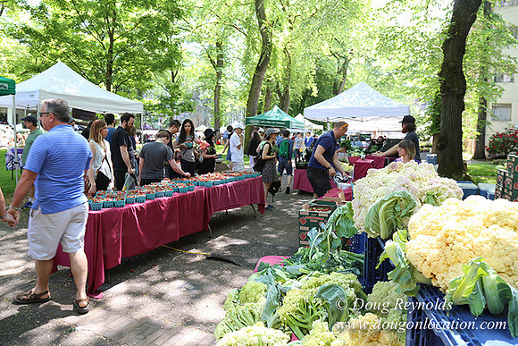Portland PSU Farmers Mkt-5819