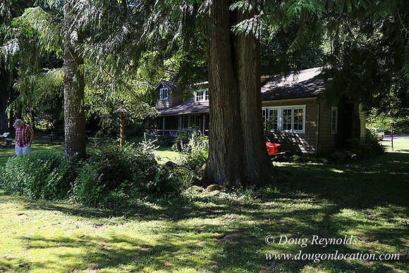Cabin ,Home, House, River, Yard, Shop, Barn, Garden, Stream,