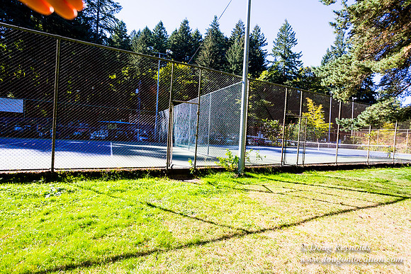 Washington Park Tennis Courts