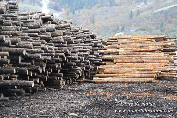 SDS Lumber-1426