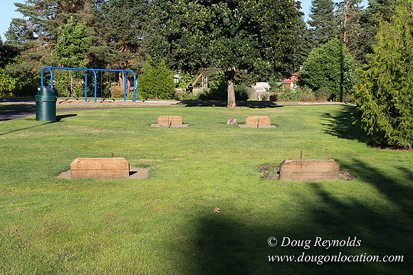Lincoln Park-0666