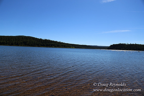Clear Lake-3452