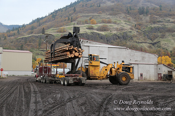 SDS Lumber-1473