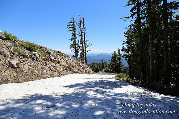 Medow's Snow-5676